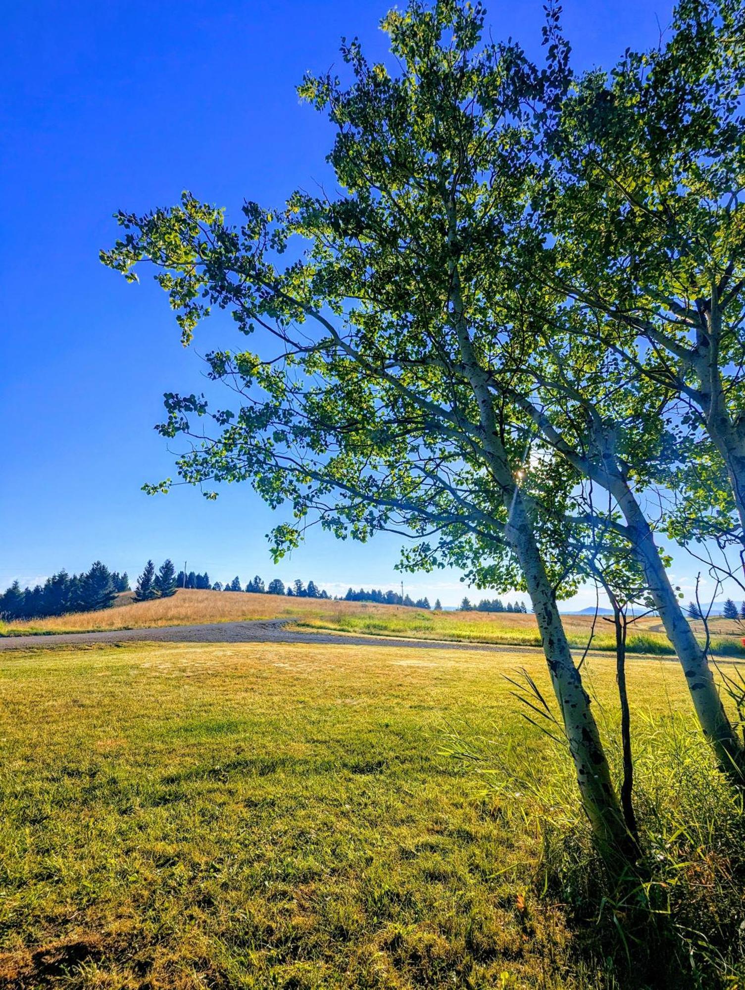 Grassy Mountain Ranch Hotell White Sulphur Springs Eksteriør bilde